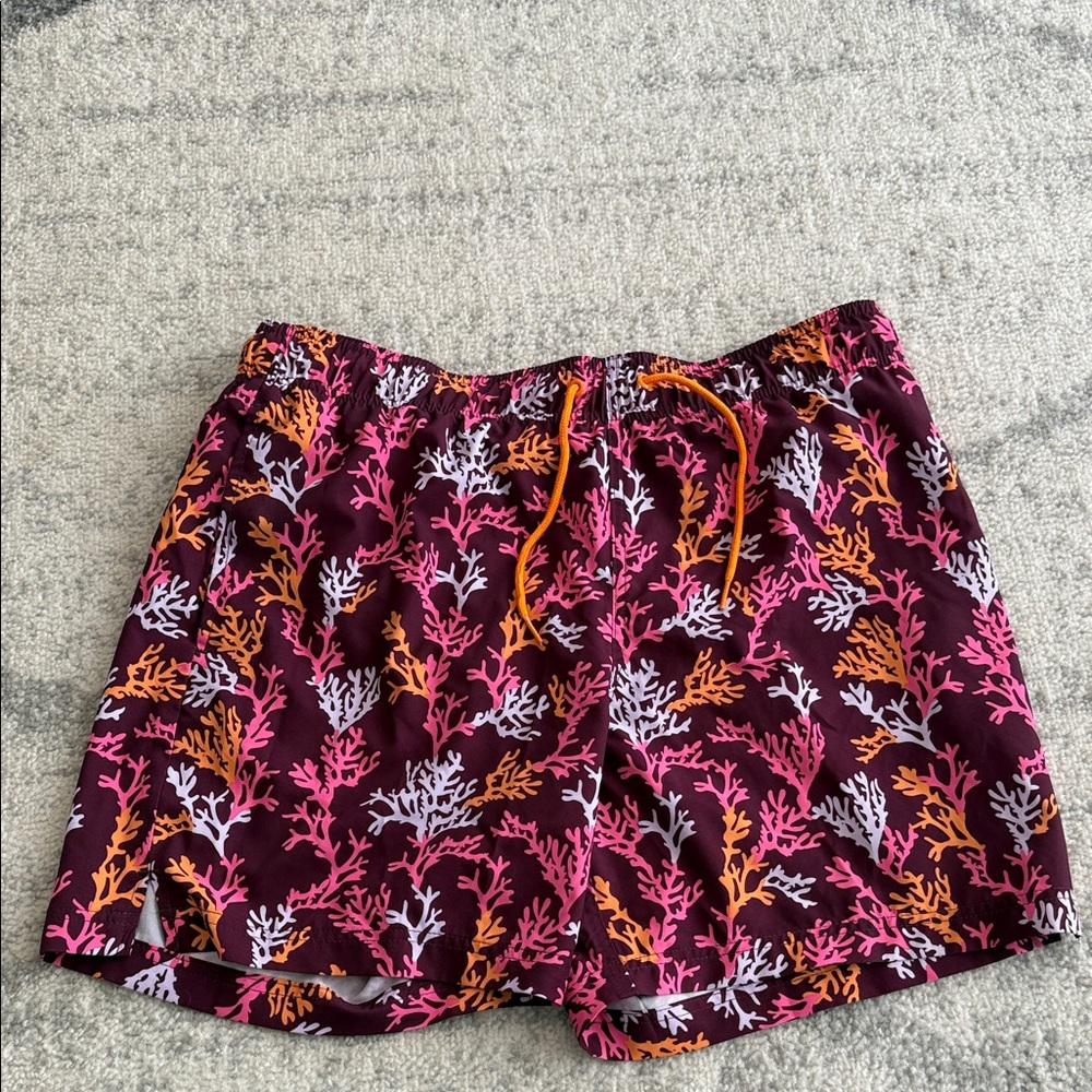 Men's Swim Trunks